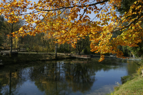 Umgebung-Kurort-Bad-Landeck-Teich